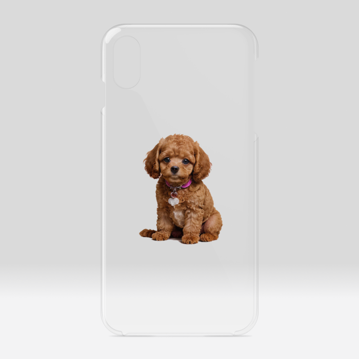 クリアiPhoneケース - iPhone XSMax