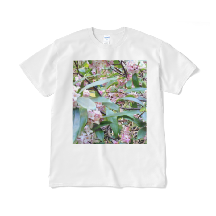 Tシャツ（短納期） - XL - ホワイト