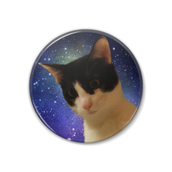 ver_2 (イカキャ_1)