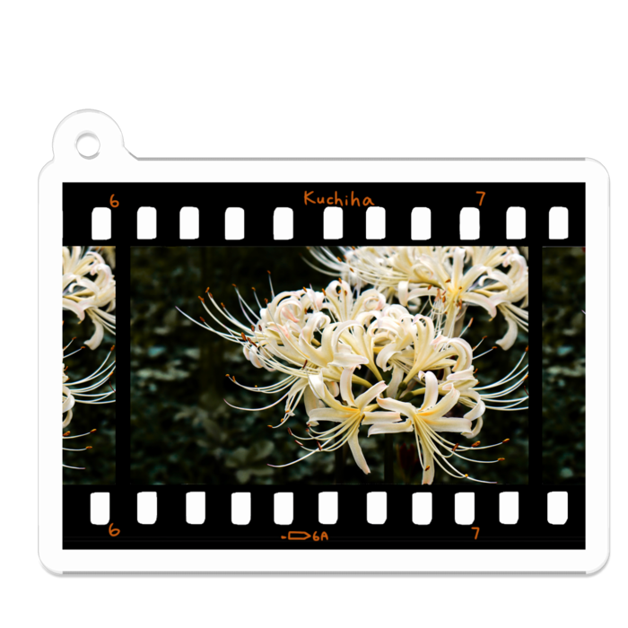 彼岸花が咲くこの場所で Willow E Verde Booth