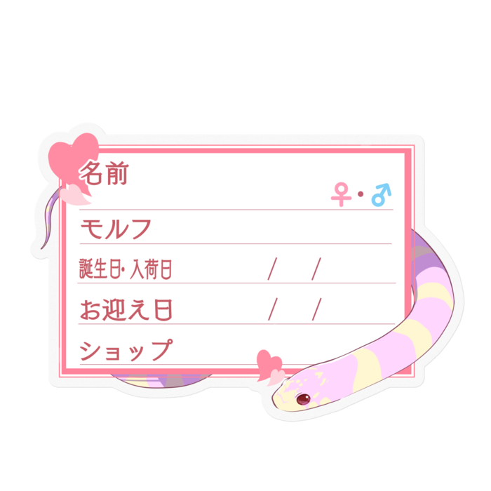 【🐍お名前ステッカー】カリキン(アルビノバンデット) ‐ハート/ピンク