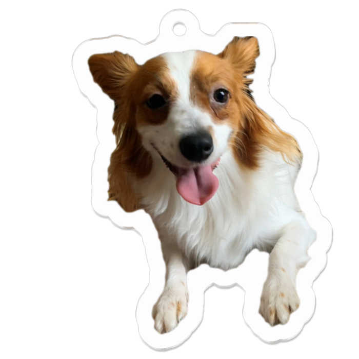 デカピヨンリラックスVer