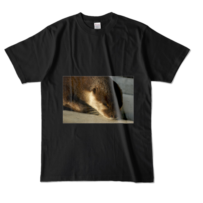 カラーTシャツ - L - ブラック (濃色)