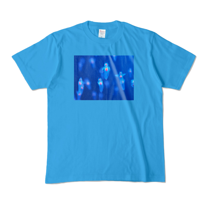 カラーTシャツ - M - ターコイズ (濃色)