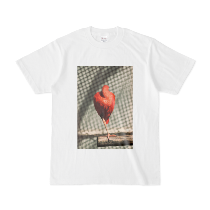 Tシャツ - S - 白