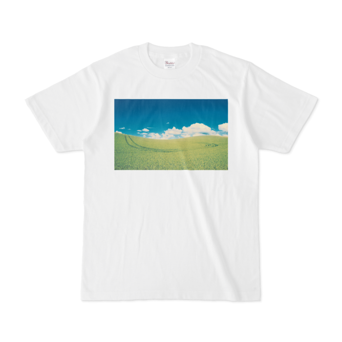 Tシャツ - S - 白