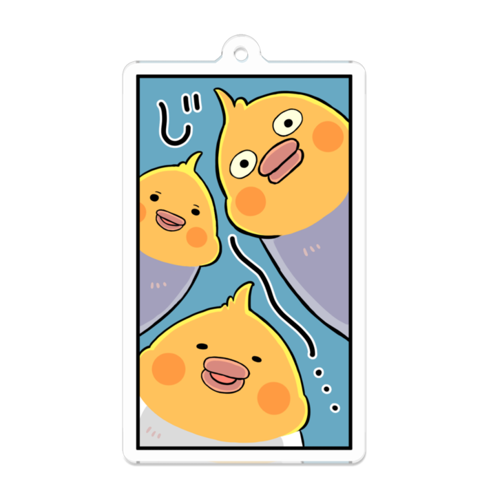 オカメインコのじーっと見つめる - 70 x 70 (mm)