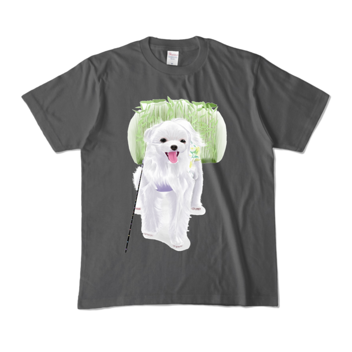 カラーTシャツ - M - チャコール (濃色)