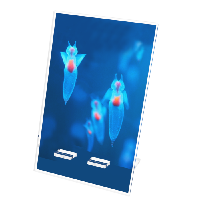 アクリルスマホスタンド - 100x160mm