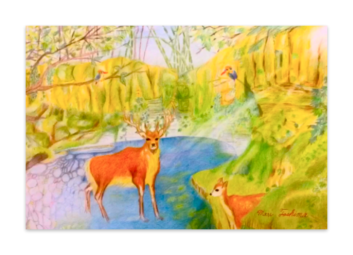 ポストカード(10枚セット) - 竹はだGA180kg