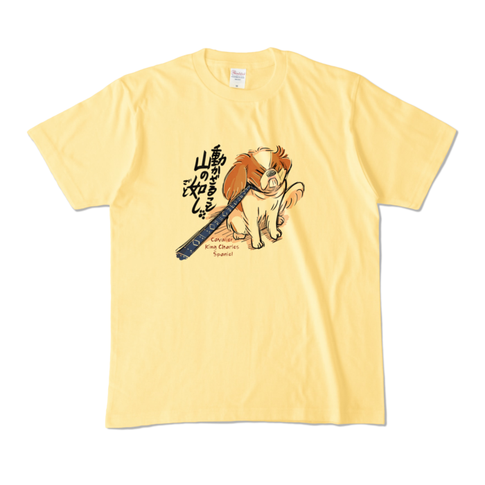 カラーTシャツ - M - ライトイエロー (淡色)
