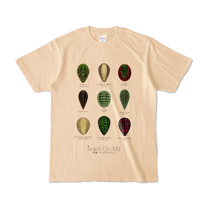 カラーTシャツ - S - ナチュラル (淡色)