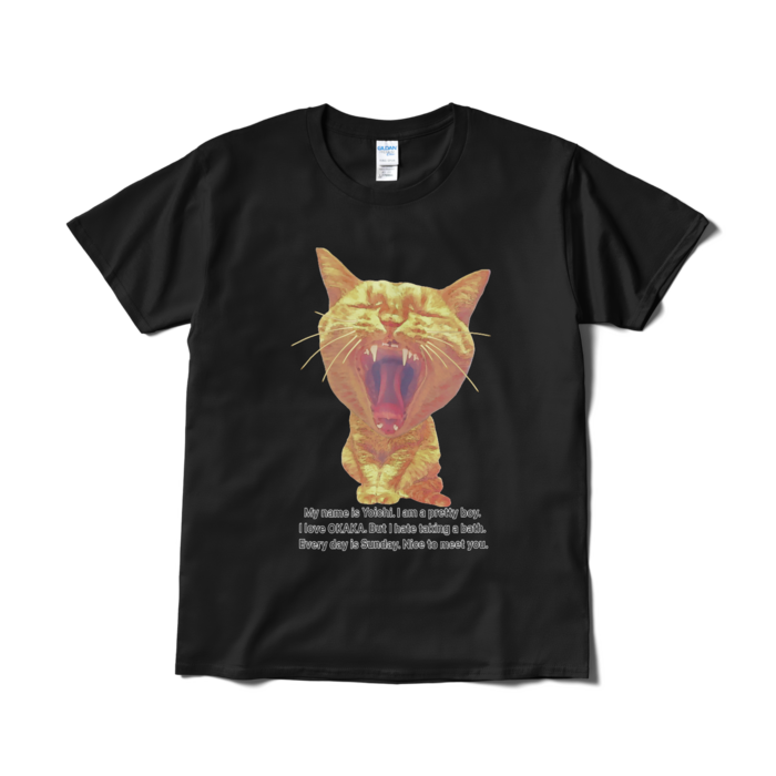 Tシャツ(短納期) - L - ブラック