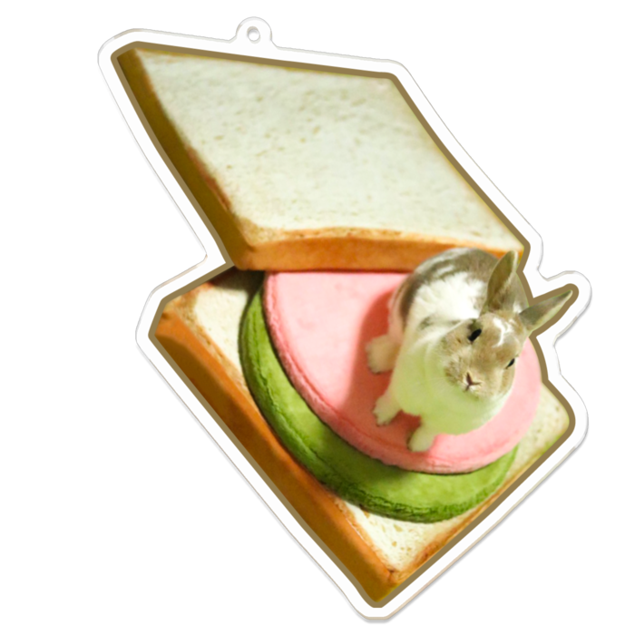 アクリルキーホルダー - 100 x 100 (mm)