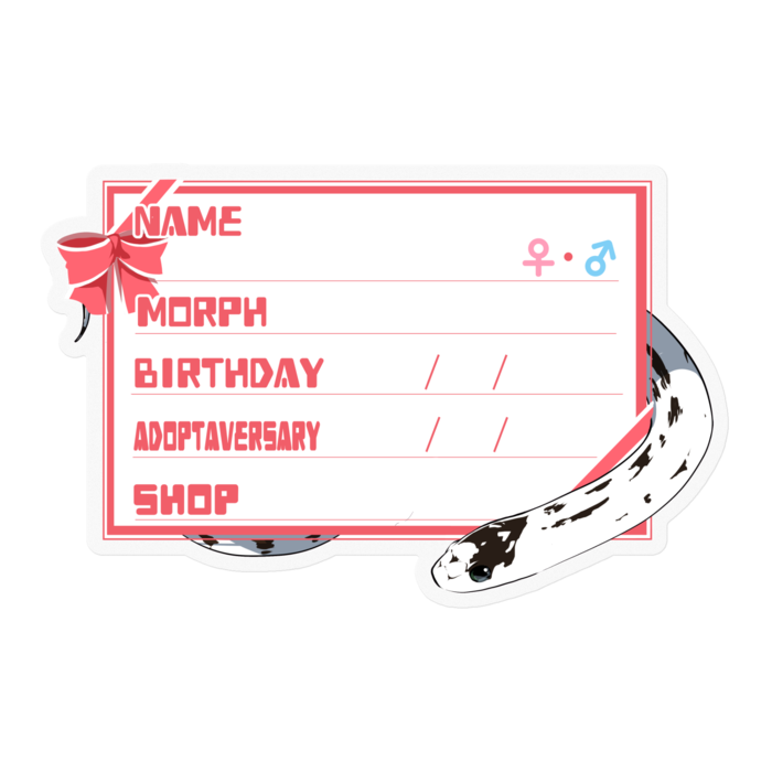  ‐リボン／ピンク(英語)