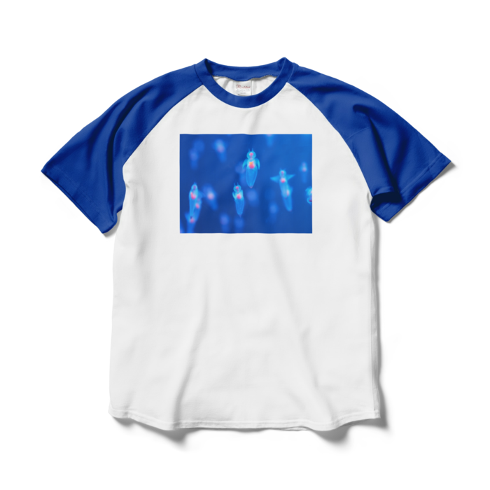 ラグランTシャツ - L - ホワイト×ロイヤルブルー