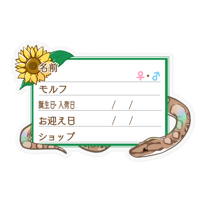 【🐍お名前ステッカー】コロニジ(ノーマル) ‐ひまわり