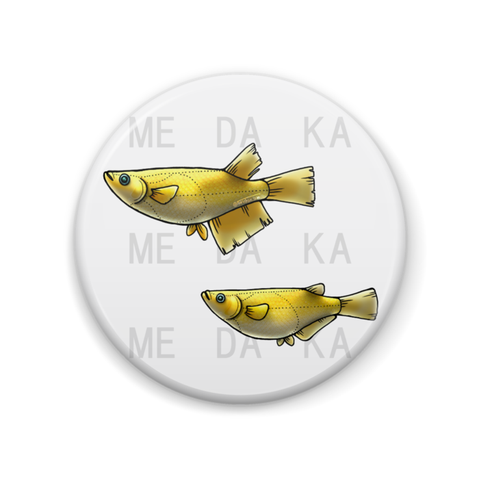 ヒカリ 57mm