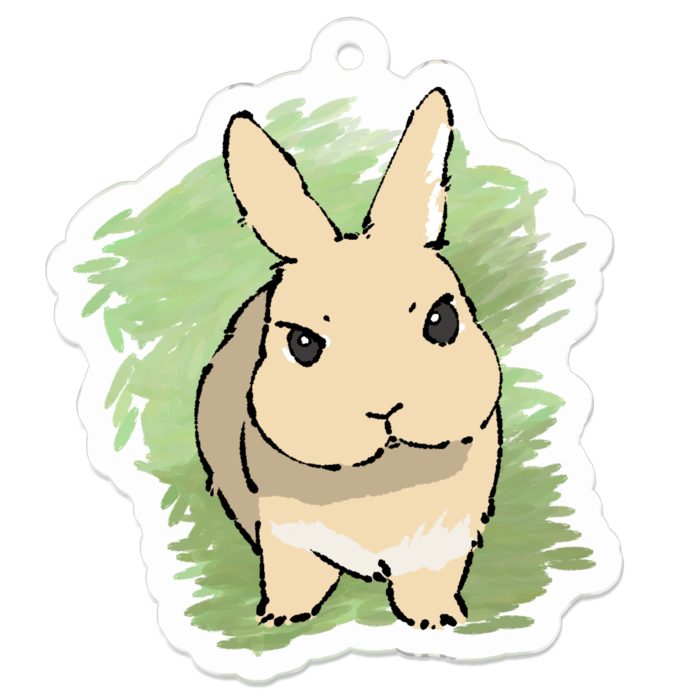 アクリルキーホルダー - 50 x 50 (mm)