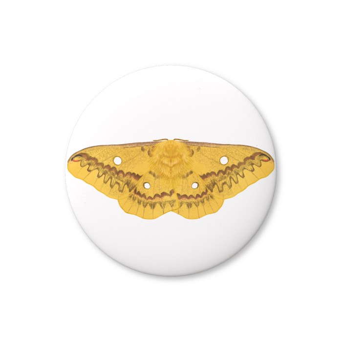 缶バッジ（バリュー） - 32mm