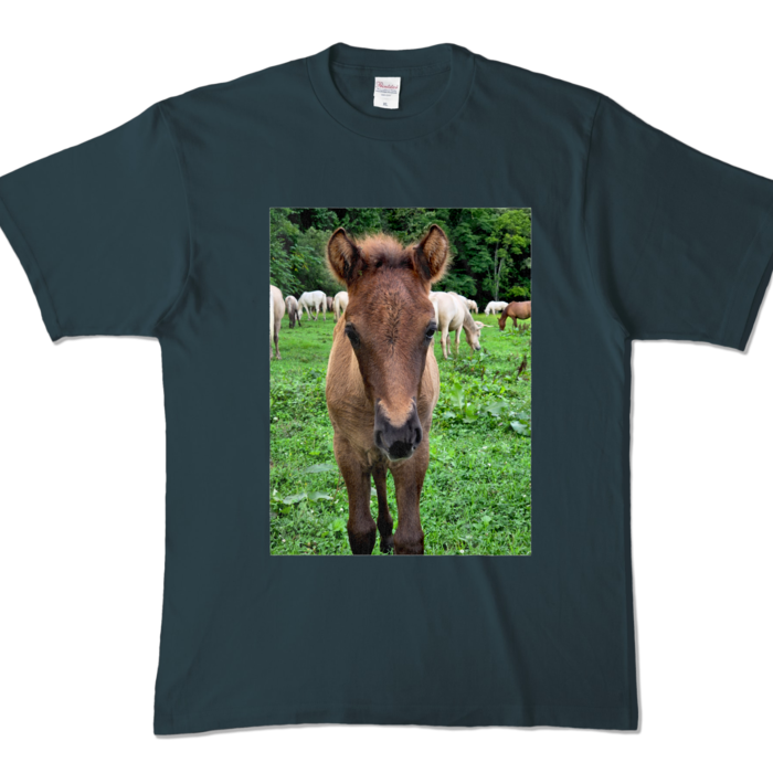 カラーTシャツ - XL - デニム (濃色)