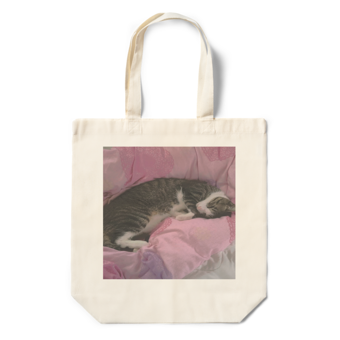 エコバッグ - 360×370×110(mm)