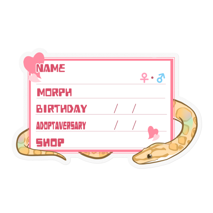 【🐍お名前ステッカー】コロニジ(パラディグマ) ‐ ハート／ピンク(英語)