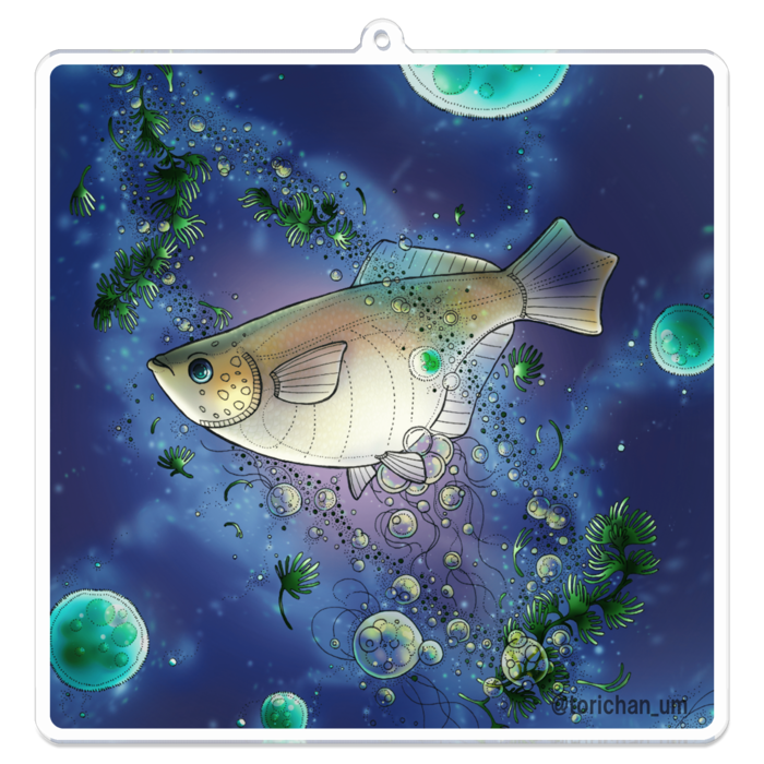 青　ー　 00 x 100㍉／コーティングなし