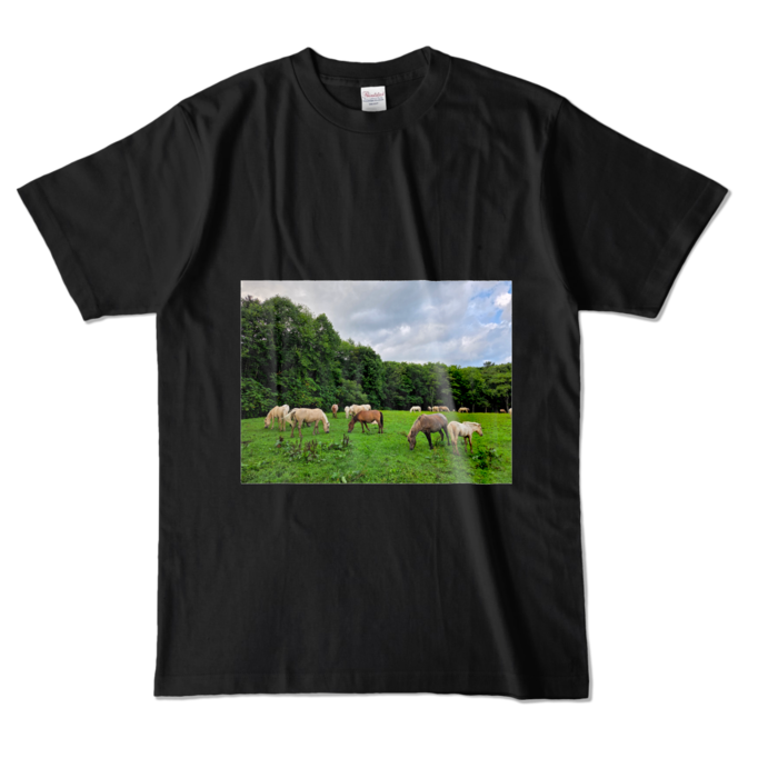 カラーTシャツ - L - ブラック (濃色)