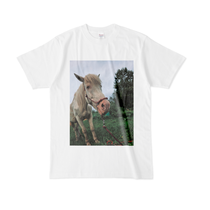 Tシャツ - L - 白