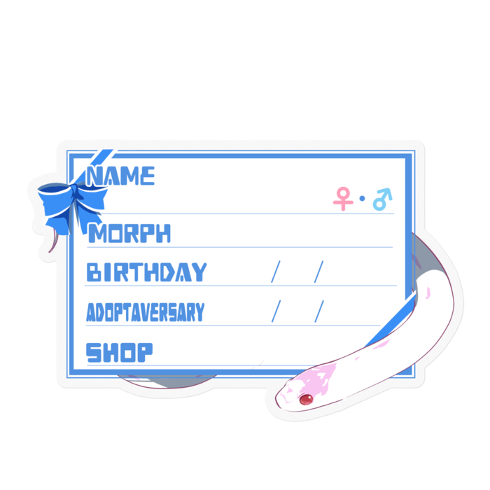 【🐍お名前ステッカー】カリキン(アルビノハイホワイト) ‐リボン／ブルー(英語)