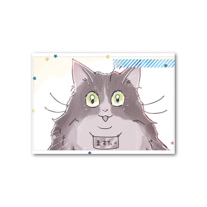 フォト風カード - 横 - 両面