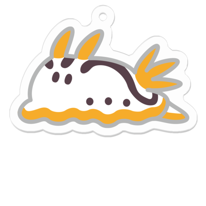 シボリイロウミウシ