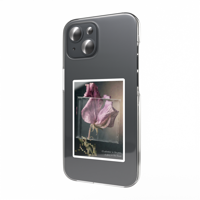 11: Sweet Pea (スイートピー)