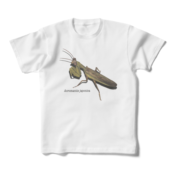 キッズTシャツ - 160cm (XS) - 正面