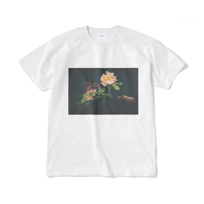 Tシャツ（短納期） - XL - ホワイト