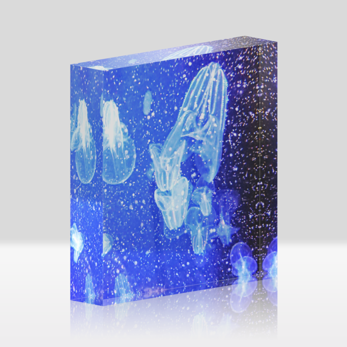 アクリルブロック - 100x100mm