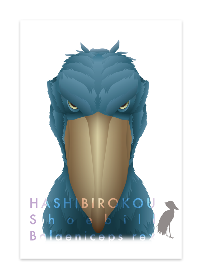 ポストカード(10セット) - マットコート220kg