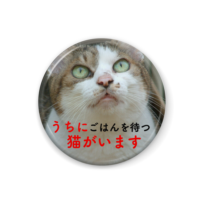 猫がいます缶バッジ（キジ白）