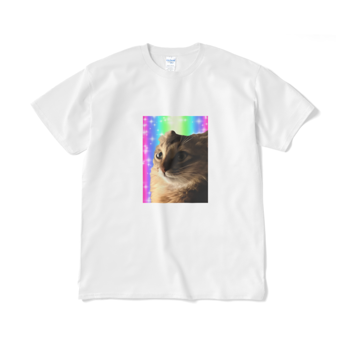 Tシャツ(短納期) - XL - ホワイト