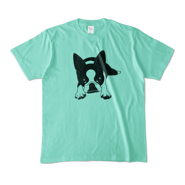 カラーTシャツ - M - アイスグリーン (淡色)