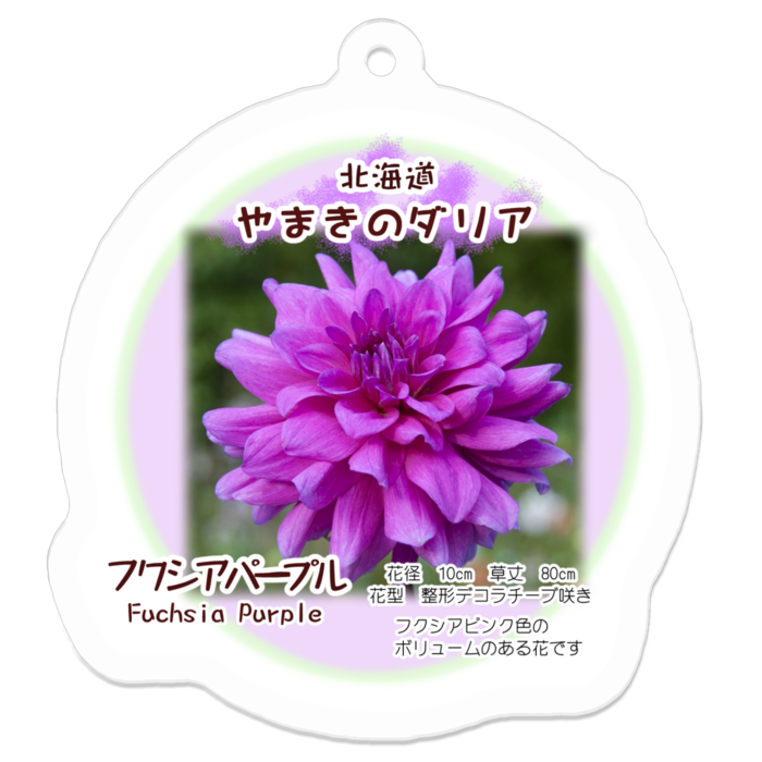 アクリルキーホルダー - 50 x 50 (mm)