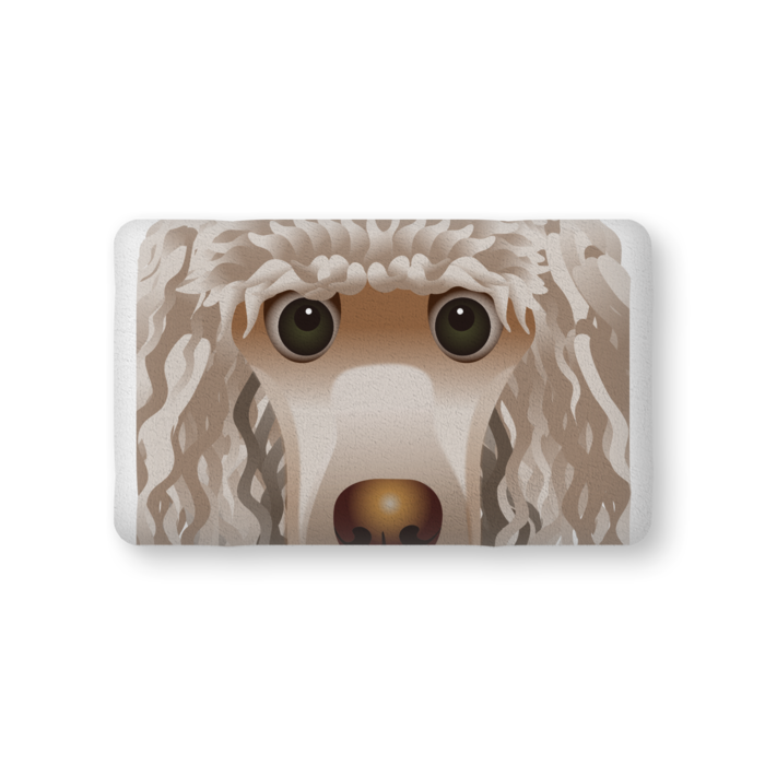 ふかふかクッション - 中（H36×W56cm） - 両面