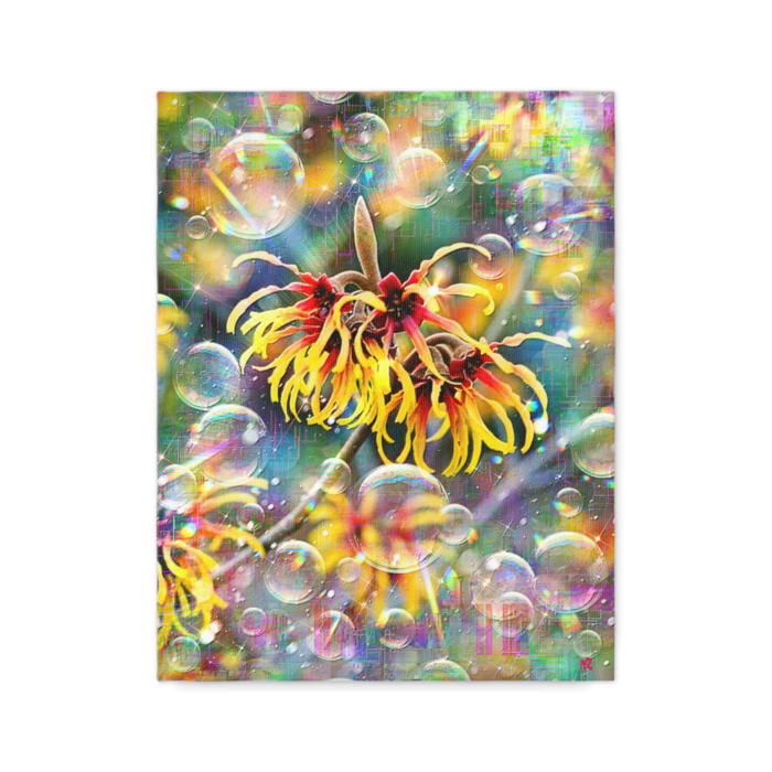 キャンバス - F6