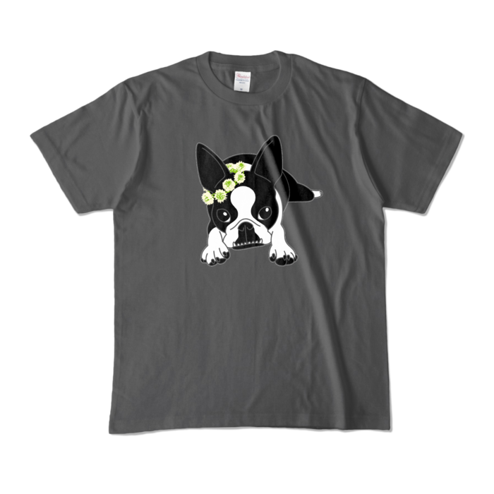 カラーTシャツ - M - チャコール (濃色)