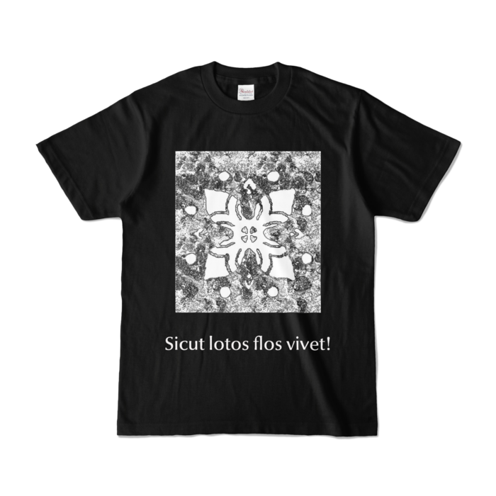 カラーTシャツ - S - ブラック (濃色)×ホワイト