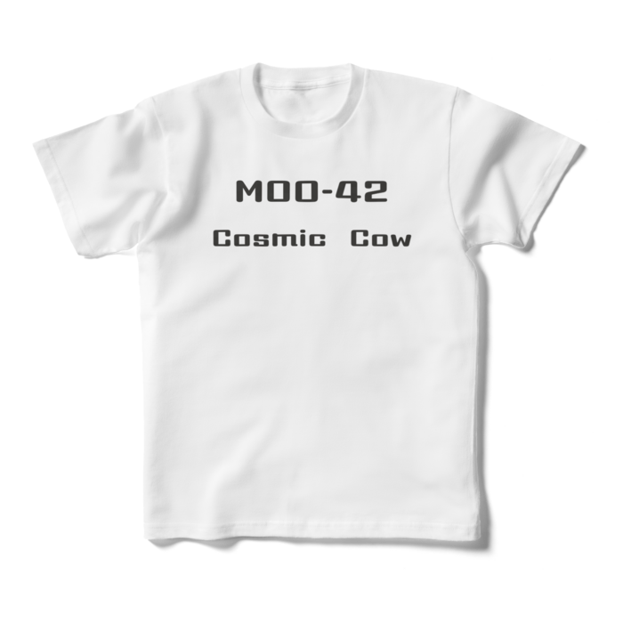 キッズTシャツ - 160cm （XS） - 両面