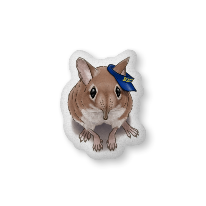 ふかふかクッション - 中（H56×W36cm） - 片面
