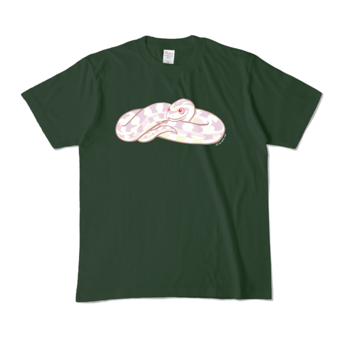 カラーTシャツ - M - フォレスト (濃色)