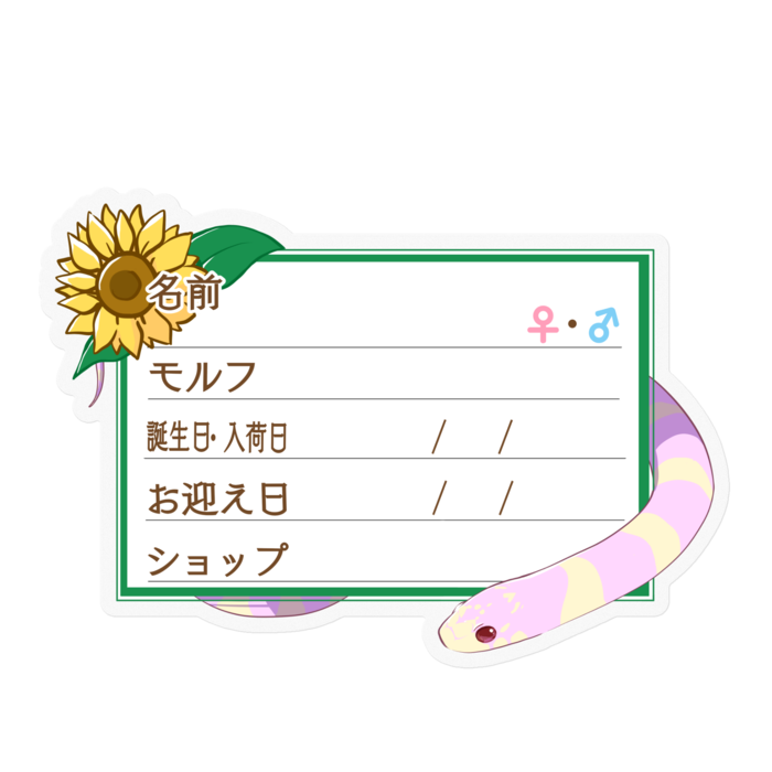 【🐍お名前ステッカー】カリキン(アルビノバンデット) ‐ひまわり